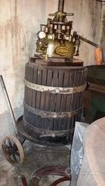 torchio deraspatrice tina