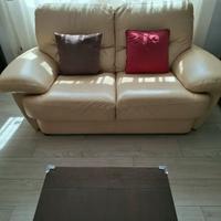 2 divani in pelle