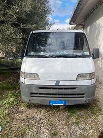 Ducato Fiat