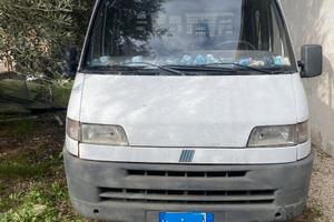 Ducato Fiat