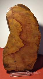 Grande fetta di selce lucidata