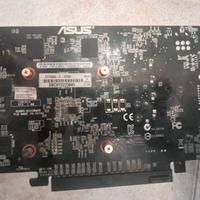 scheda grafica Asus