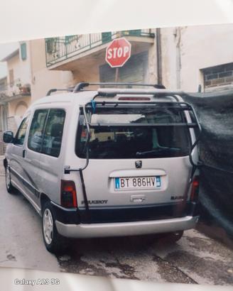 portabici per auto 