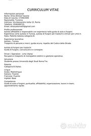 Autista patente b