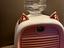 Immagine 5