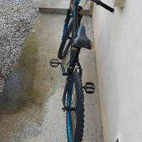 bici da ragazzo 
