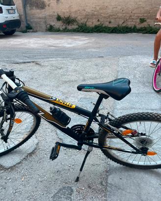 bicicletta Mountain-bike 