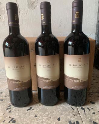 Il Bruciato 2021
