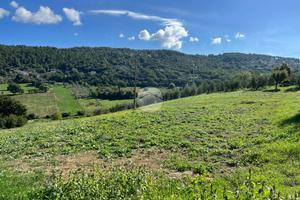 TER. RESIDENZIALE A CALVI DELL'UMBRIA