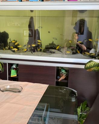 Acquario ferplast star 200