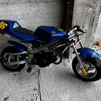 Minimoto replica VR46