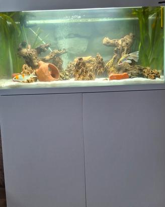 acquario aquael  200 litri