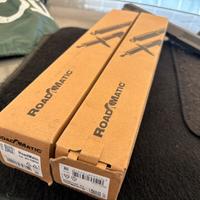 Ammortizzatori posteriori 251108RM Ducato nuovi