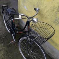 bicicletta da donna