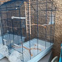 Gabbie per inseparabili