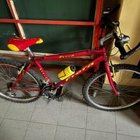 bicicletta mtb FRERA (prezzo trattabile)