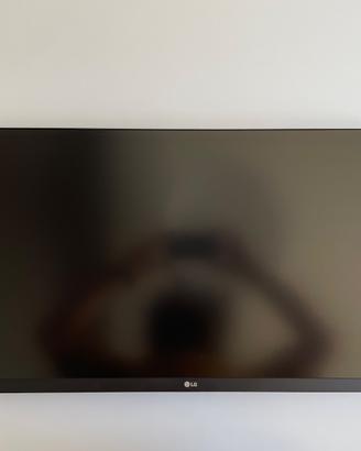 Monitor Lg per post.produzione foto/video