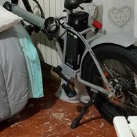 Smartway e-bike 