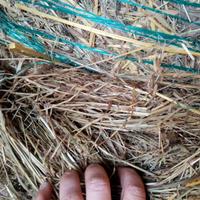 Paglia fieno ed erba medica