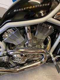 Harley-Davidson V-Rod anno 2002