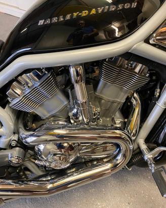 Harley-Davidson V-Rod anno 2002