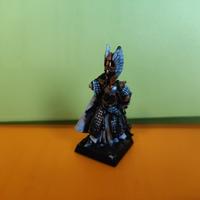 Eroe  6 ed incompleto Elfi Alti Warhammer