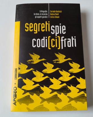 Libro di Segreti e Spie con Codici Cifrati 