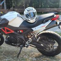 Aprilia Shiver 900 - 2018