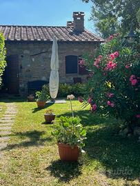 Baiadera con giardino e piscina