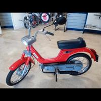 Piaggio Altro modello - 1979