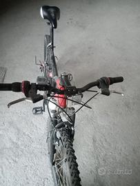 Mountain bike