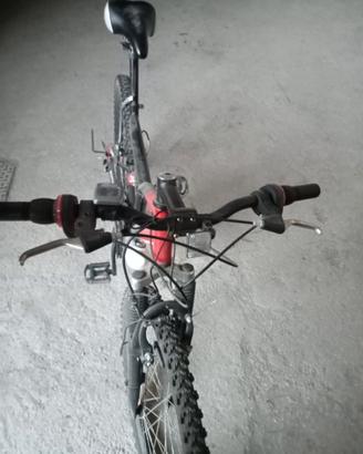 Mountain bike