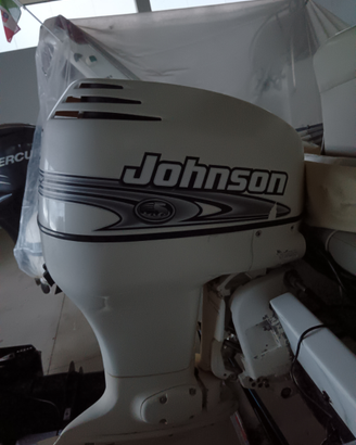 Johnson 90 cv