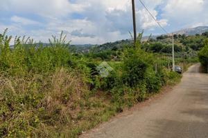 TER. AGRICOLO A OLEVANO ROMANO