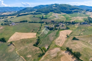 CASA INDIPENDENTE A LANGHIRANO