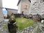 Immagine 25