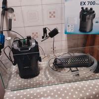 terrario per tartarughe d acqua