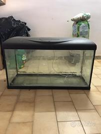 Acquario 70x30
