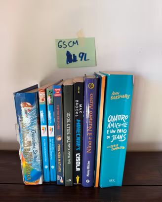 Lotto 9 libri ragazzi Stilton Minecraft e altri