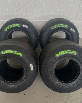 Pneumatici kart VEGA VERDI XH4