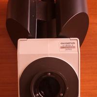 Olympus U-BI30-2 Microscopio Testa Binoculare