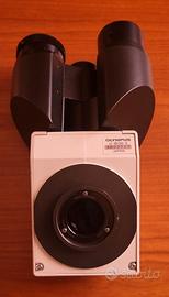 Olympus U-BI30-2 Microscopio Testa Binoculare