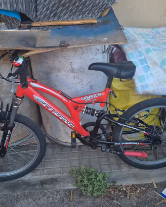 bicicletta per bimbi 