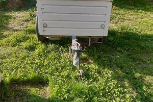 Carrello rimorchio per trasporto cani