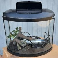 Acquario con accessori
