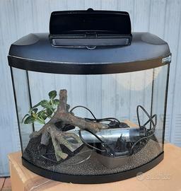 Acquario con accessori