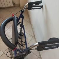 carretto per anziani