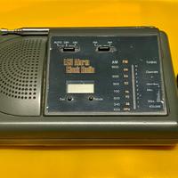 Radiosveglia LCD Alarm Clock Radio