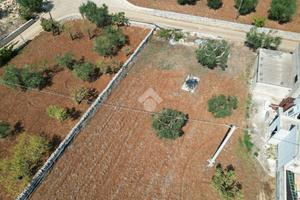 TER. AGRICOLO A POLIGNANO A MARE