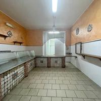 Locale commerciale Camposano